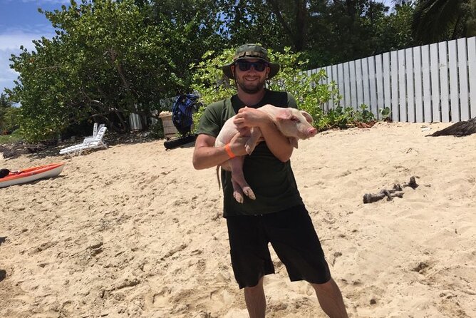 Private Swim With Pigs and Snorkeling in Paradise Tour - Price and value: $850 per group plus the pig swim fee