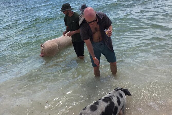 Private Swim With Pigs and Snorkeling in Paradise Tour - Pickup, transportation, and what you should pack
