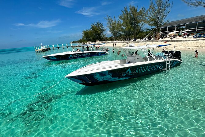 Private Tour 45ft Powerboat to Nearby Islands - Stop 1: Green Turtle Cay snorkeling and sea-turtle watching