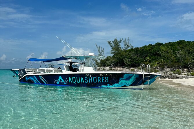 Private Tour 45ft Powerboat to Nearby Islands - Rose Island again: visiting Pig Island and the swimming pigs