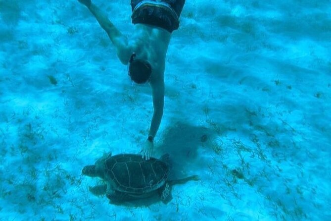 Rose Island Adventure: Snorkel, Sea Turtles, and Private Beach - Should you book it?