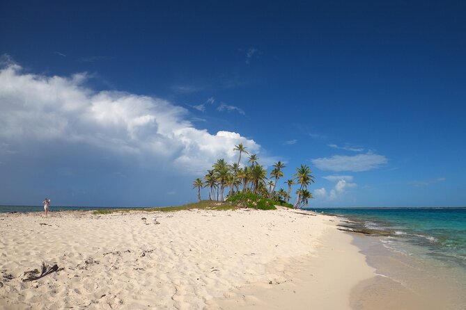 Rose Island Adventure: Turtle, Swim and Snorkel - Key Points Before You Go