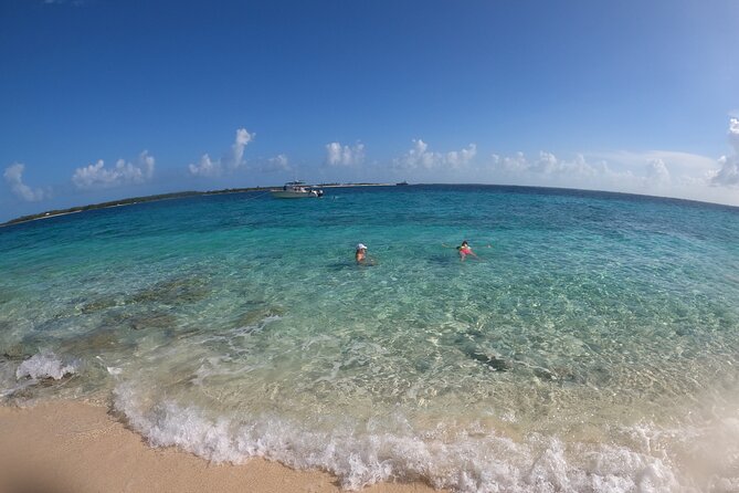 Rose Island Adventure: Turtle, Swim and Snorkel - Price and Value: Is $150 for a Sea Turtle Swim a Good Deal?