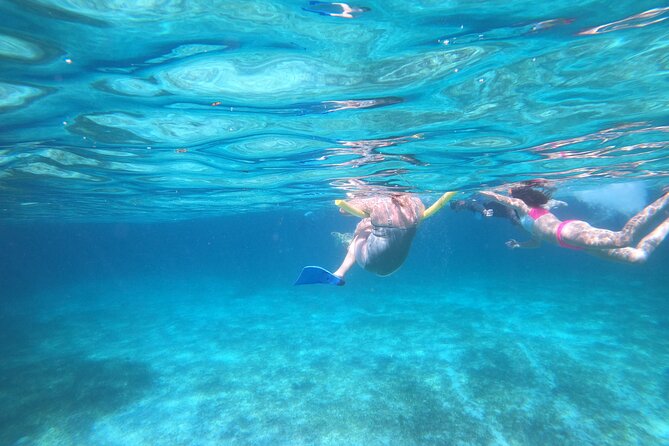 Rose Island Adventure: Turtle, Swim and Snorkel - Practical Tips: What to Bring for a Smooth Nassau Day