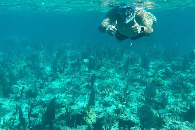 Rose Island Adventure: Turtle, Swim and Snorkel - Your 3-Hour Schedule from Señor Frog’s to Rose Island