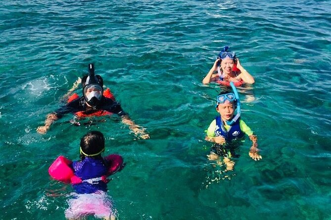 Rose Island Half-Day Snorkeling Cruise - Snorkeling for green turtles and reef fish, with gear provided