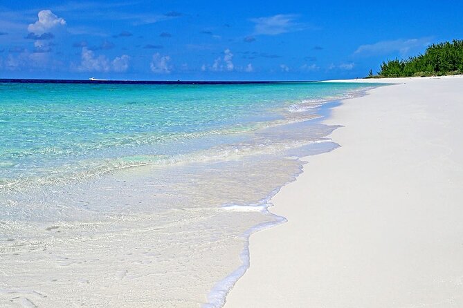 Rose Island Half-Day Snorkeling Cruise - Weather and timing, especially for short trips from Nassau