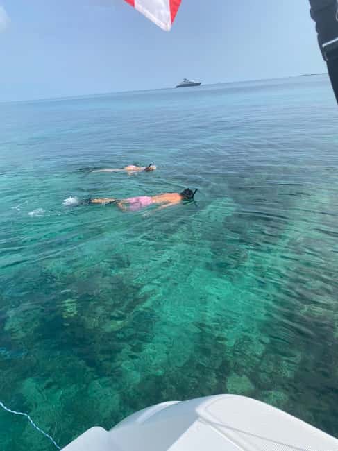Rose Island: Pig Beach, Snorkeling, Sea Turtles, Beach - Gilligan’s Island Stop: A Name Place With Real Island Energy