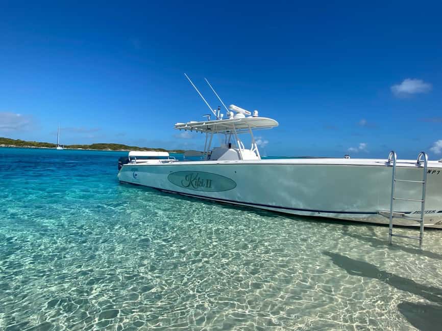 Rose Island: Pig Beach, Snorkeling, Sea Turtles, Beach - Who Should Book, and Who Should Skip