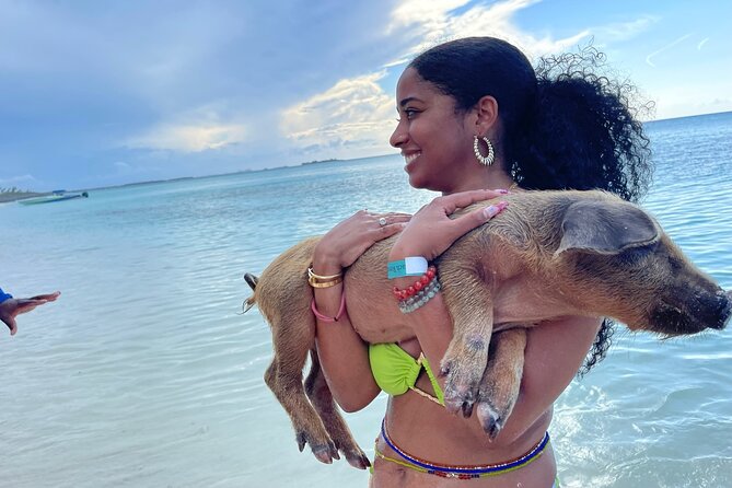 Rose Island Private Beach: Swimming with the Pigs - Key points at a glance