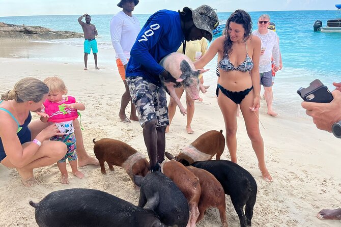 Rose Island Private Beach: Swimming with the Pigs - Rose Island’s 007 Beach Club: why the east-side location feels special