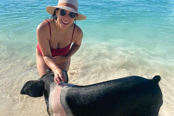 Rose Island Private Beach: Swimming with the Pigs - Timing, crew energy, and the one “gotta plan for this” issue