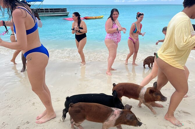 Rose Island Private Beach: Swimming with the Pigs - Price value at $139 per person: what you are buying