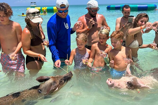 Rose Island Private Beach: Swimming with the Pigs - Green Cay turtle sanctuary, what to expect if you add it on