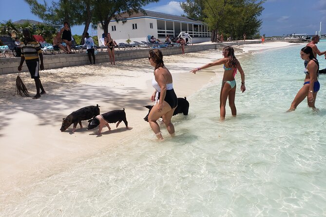 Rose Island: Private Snorkeling, Fishing, and Swimming with Pigs - Key things I’d pay attention to