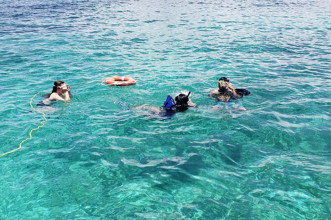 Rose Island: Private Snorkeling, Fishing, and Swimming with Pigs - Fishing time around reefs, with bait and gear ready to go