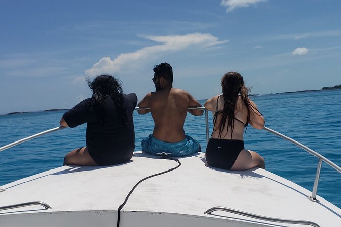 Rose Island: Private Snorkeling, Fishing, and Swimming with Pigs - Price and value: how $850 per group can make sense