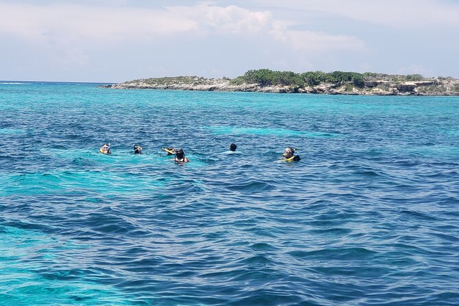 Rose Island: Private Snorkeling, Fishing, and Swimming with Pigs - Practical tips for a smoother half-day on the water
