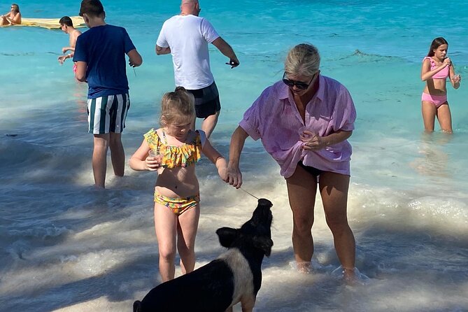 Rose Island Swimming Pigs - Rose Island swimming pigs, beach time, and lunch