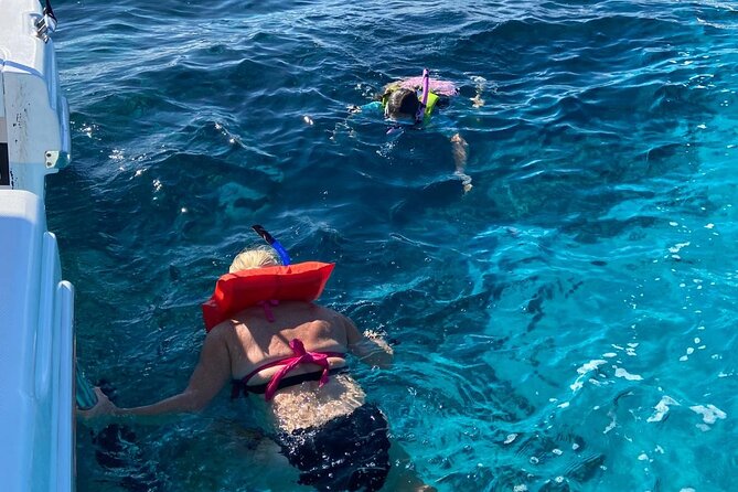 Rose Island Swimming Pigs - Price and value: what $259 per person buys you