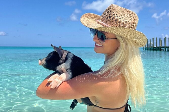 Rose Island Swimming Pigs & Beach Snorkeling Experience Nassau - Key things I’d note before you go