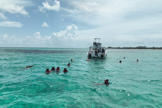 Rose Island Swimming Pigs & Beach Snorkeling Experience Nassau - Passing Pearl Island: the quiet sighting moment