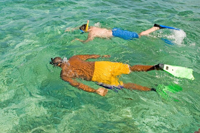 Rose Island Swimming Pigs & Beach Snorkeling Experience Nassau - Rose Island arrival: the pig encounter starts right away