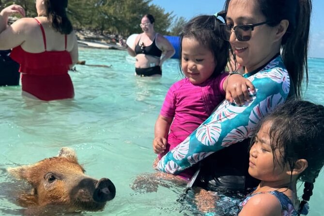 Rose Island Swimming Pigs & Beach Snorkeling Experience Nassau - How the day stays fun: waiting time and group pacing