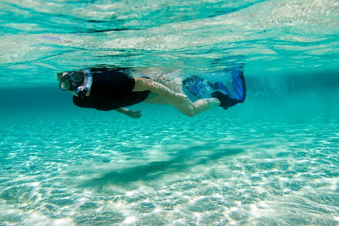 Rose Island Swimming Pigs & Beach Snorkeling Experience Nassau - Price and value: is $79 fair for Nassau to Rose Island?