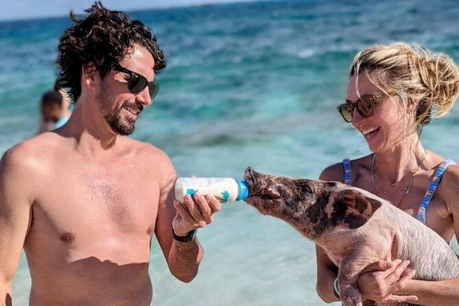 Rose Island Swimming Pigs & Beach Snorkeling Experience Nassau - What’s included, what to plan for, and how to prepare