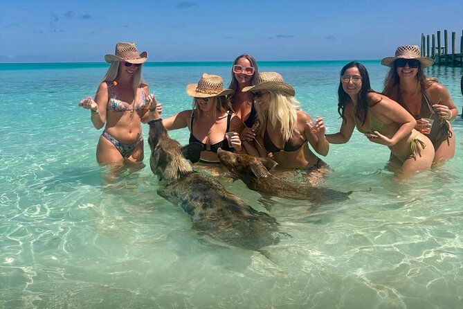 Rose Island Swimming Pigs & Beach Snorkeling Experience Nassau - Past Atlantis and Ocean Club Estates: why that first pass matters