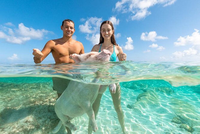 Sandy Toes The Original Rose Island and Swimming Pigs Tour - Logistics that save your day: check-in and what to bring
