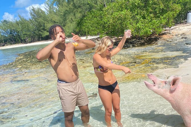 Self Drive Speedboat and Swim with the Pigs - Price and Value: Is $130 Reasonable Here?