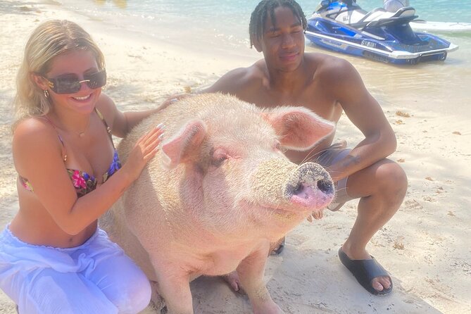 Self Drive Speedboat and Swim with the Pigs - Who This Tour Fits Best (and Who Might Want a Different Plan)