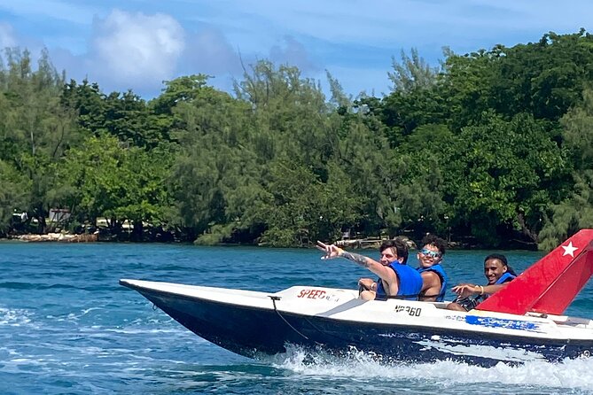 Self Drive Speedboat and Swim with the Pigs - The Private Pig Island: Feeding Time and Baby Pig Photos