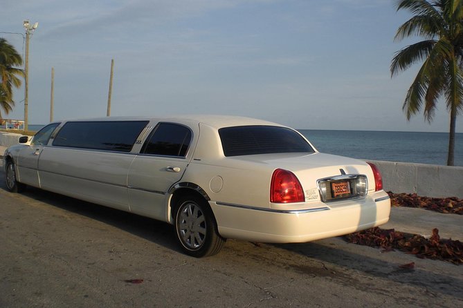 Shared Round Trip Limousine Transfer - Your return timing plan: Domino’s Pizza and the noon-to-4pm window