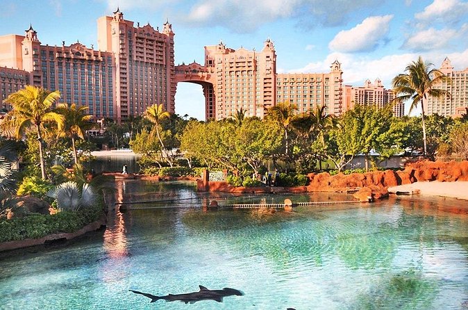 Sightseeing Island Tours Nassau Bahamas Paradise Island - What you get inside the black Honda, comfort that actually matters