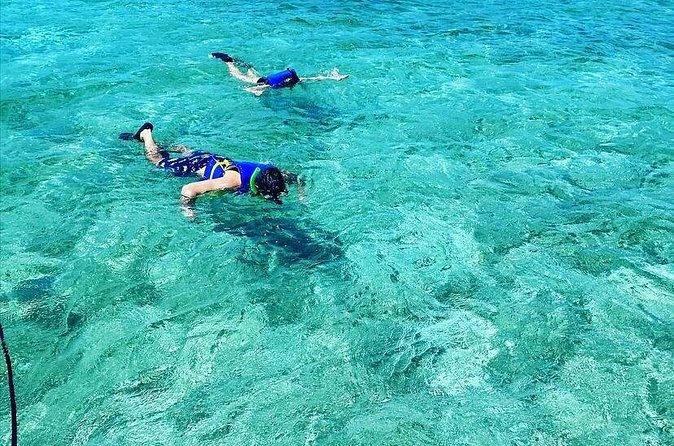 Small-Group Snorkeling Experience at Sea Garden - Sea Garden reef snorkeling in Nassau, scaled to a small group