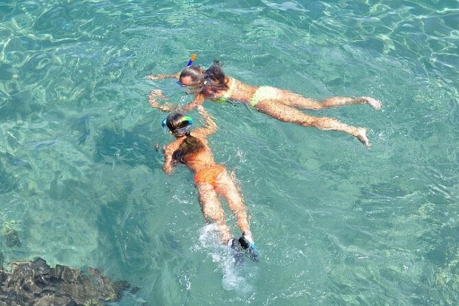 Small-Group Snorkeling Experience at Sea Garden - The quick boat ride through Nassau Harbor before the reef