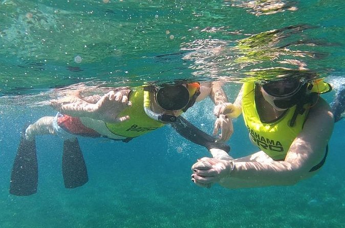 Small-Group Snorkeling Experience at Sea Garden - Snorkeling in the Sea Garden Conservation area: coral, fish, and turtles