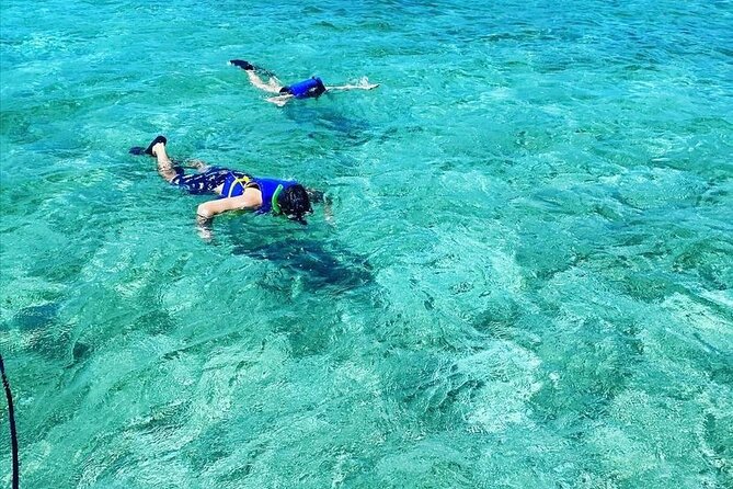 Small-Group Snorkeling Experience at Sea Garden - Getting to Blue Finn Charters at Harbour Central Marina