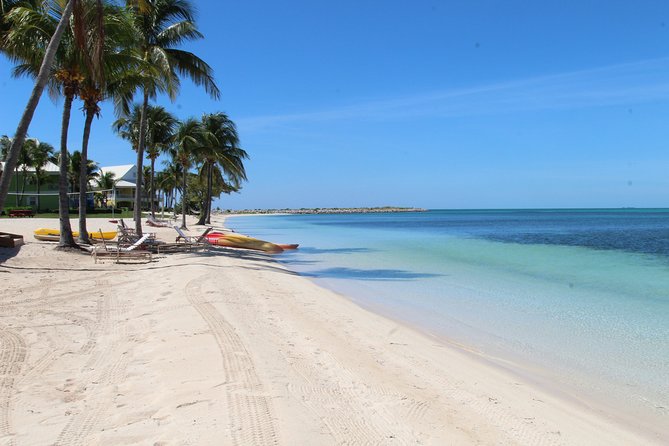 Snorkel/Swim with the Turtles Experience - Beach deck time after snorkeling: the real payoff