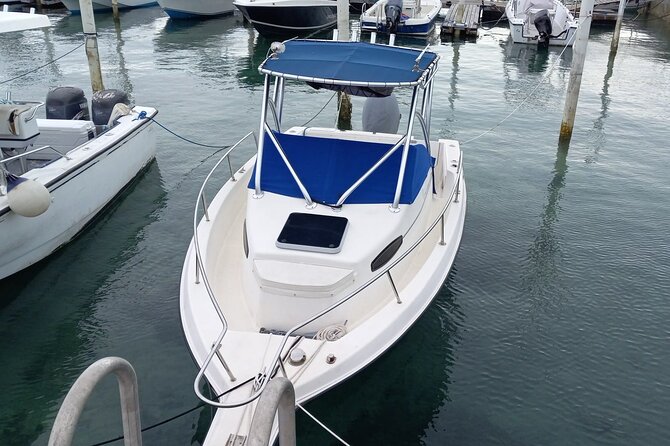 Snorkeling, Swim with Turtles & Beach Day - The 4-Hour Sail: How This Half-Day Works in Real Life