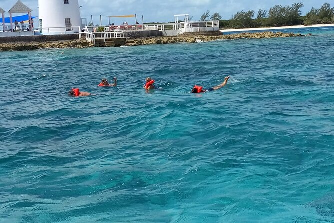 Snorkeling, Swim with Turtles & Beach Day - Swim With Turtles and Reef Snorkeling: What You’re Targeting