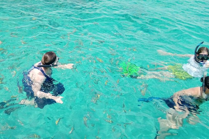 Snorkeling, Swim with Turtles & Beach Day - Rose Island Option and the Swim-with-Pigs Add-On