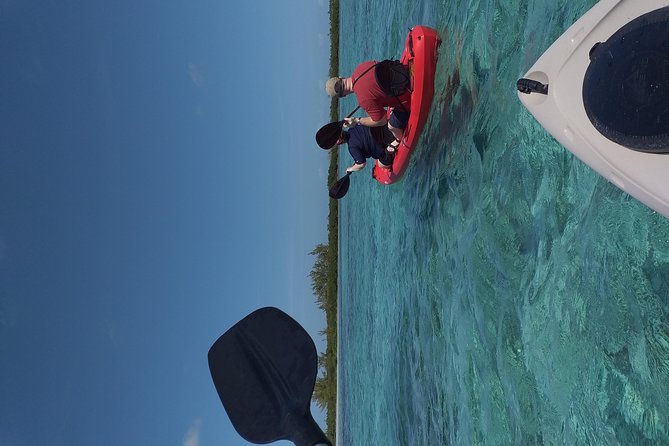 Sweetings Cay Mangrove Kayaking and Turtles - Sweetings Cay, far from Freeport’s noise