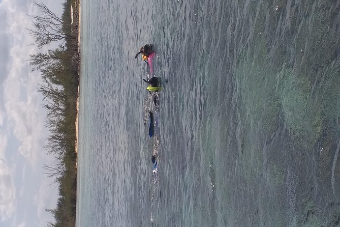 Sweetings Cay Mangrove Kayaking and Turtles - Getting to the east end: pickup, van ride, and cruise timing