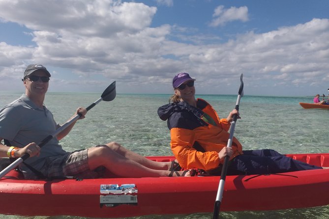 Sweetings Cay Mangrove Kayaking and Turtles - The food stop and why it can change your day