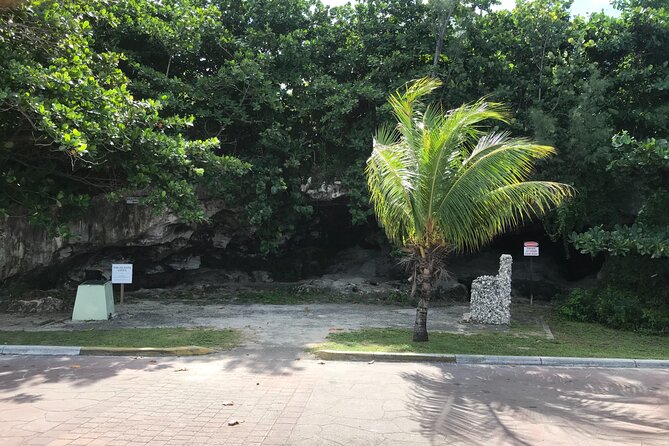 Swim with the Pigs and Explore Caves in Nassau - Key Things to Know Before You Go