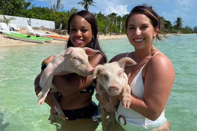 Swim with the Pigs and Explore Caves in Nassau - Atholl Island and Adelaide Village: Pigs, Snorkel, and the Best Part of the Day